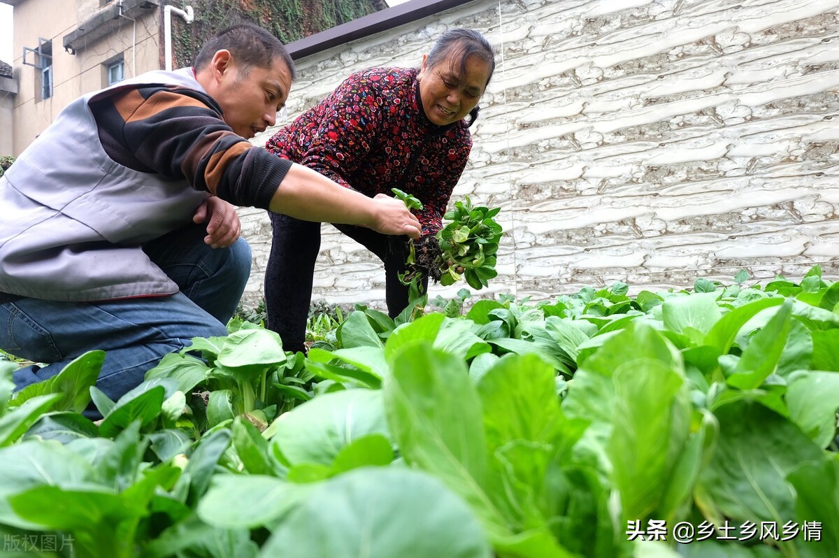 效果出奇的好(效果出奇的好怎么表达)