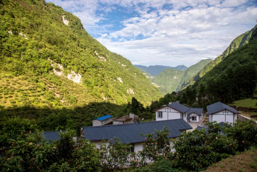 峡谷深处藏着古老小镇，拥有复古电影质感的金口河之旅~