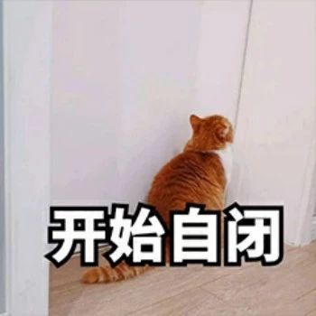 性感猫咪，在线陪聊