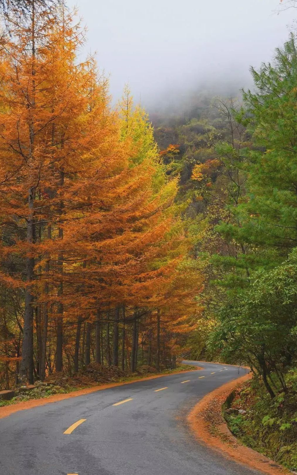 宝藏分享｜资深旅行家推荐，中国10条极小众公路