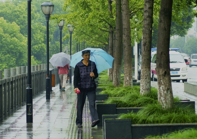 秋雨抒怀八首