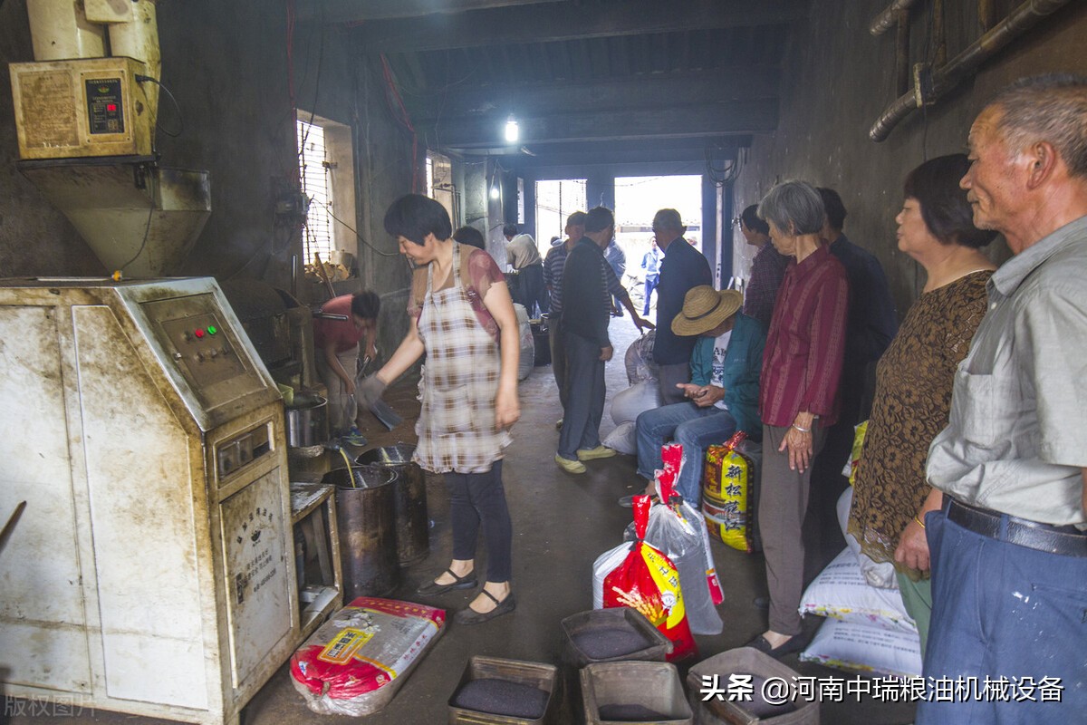 小型芝麻榨油机多少钱一台