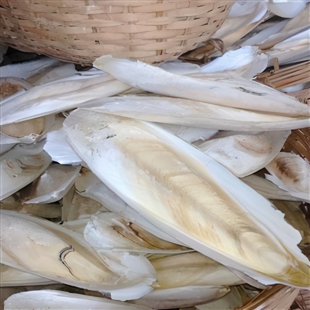 海螵蛸是啥?海墨鱼好吃但中间的骨头有学问