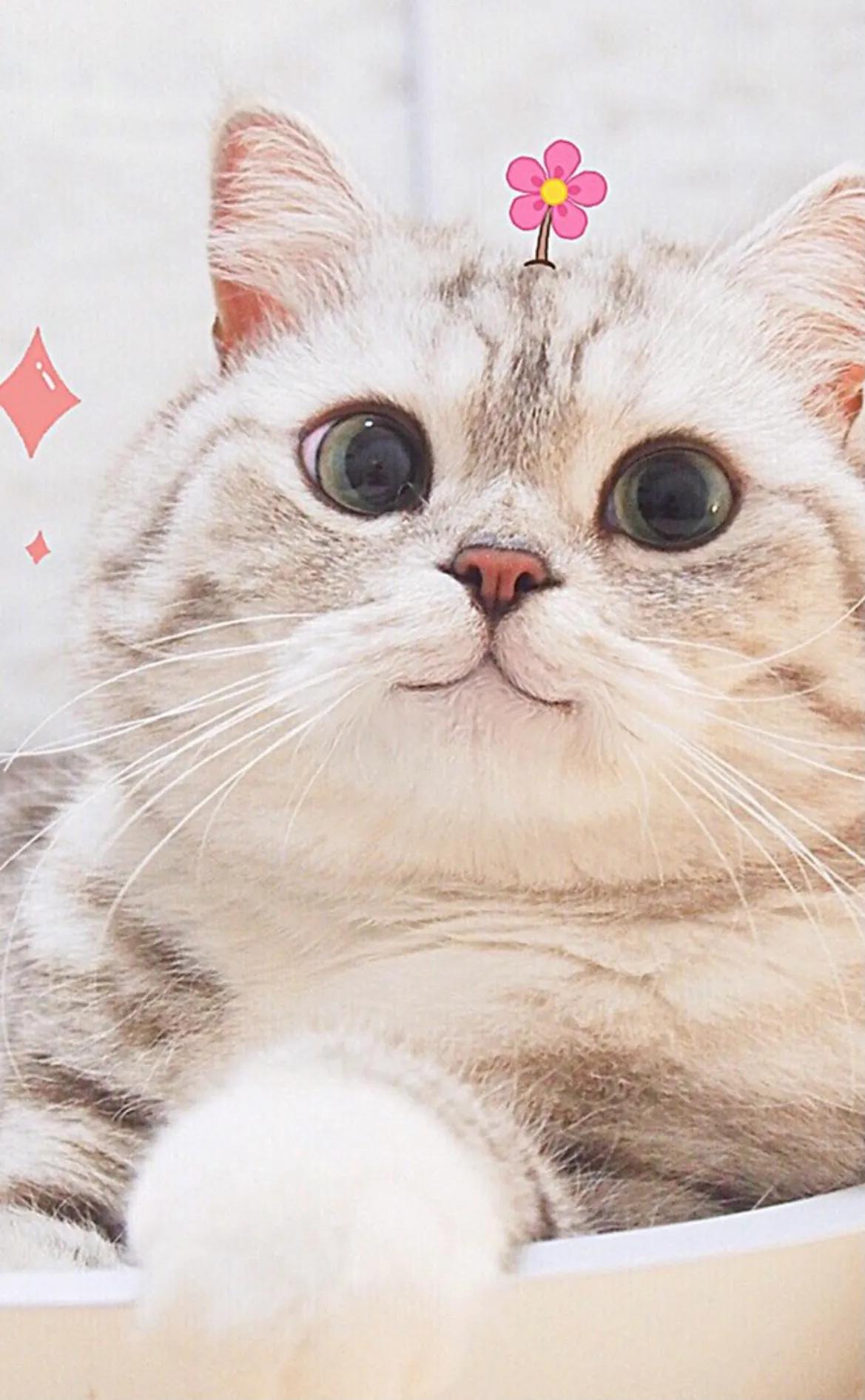 让女生感动到天旋地转的情话