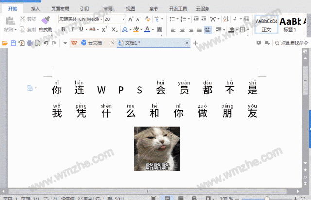 「干货集」WPS技巧汇总（一）