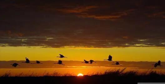 这个春节，倦鸟不归，情何以堪？你的人生还能出彩吗？