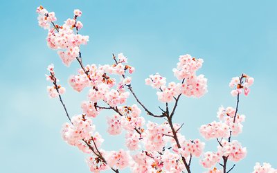 最高级的朋友圈：断舍离