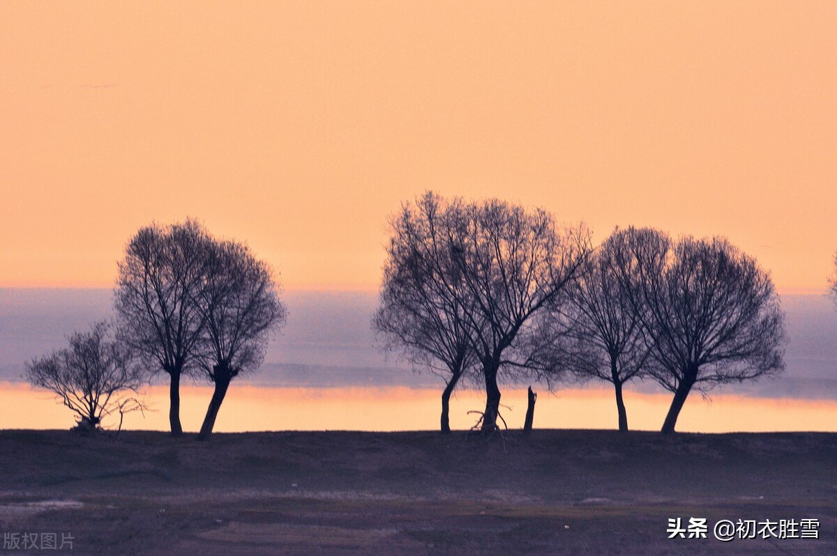 晚秋落木感怀诗词五首，无边落木，都是大气感人的家国人生情怀