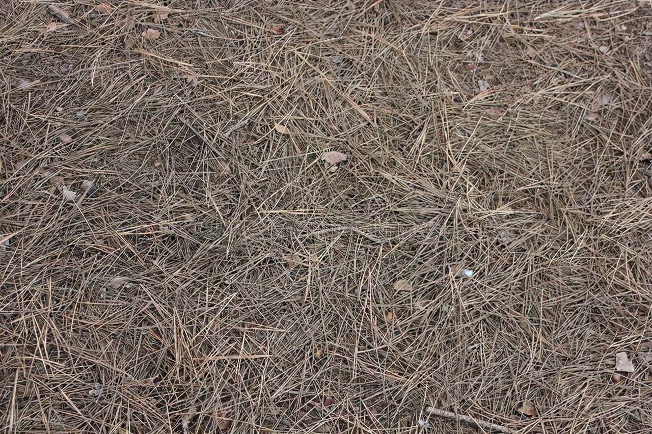磷钾肥料的有哪些（4大类磷钾肥的来源和利用）