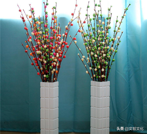 家中摆放的银柳发芽了好不好（银柳的风水忌讳）