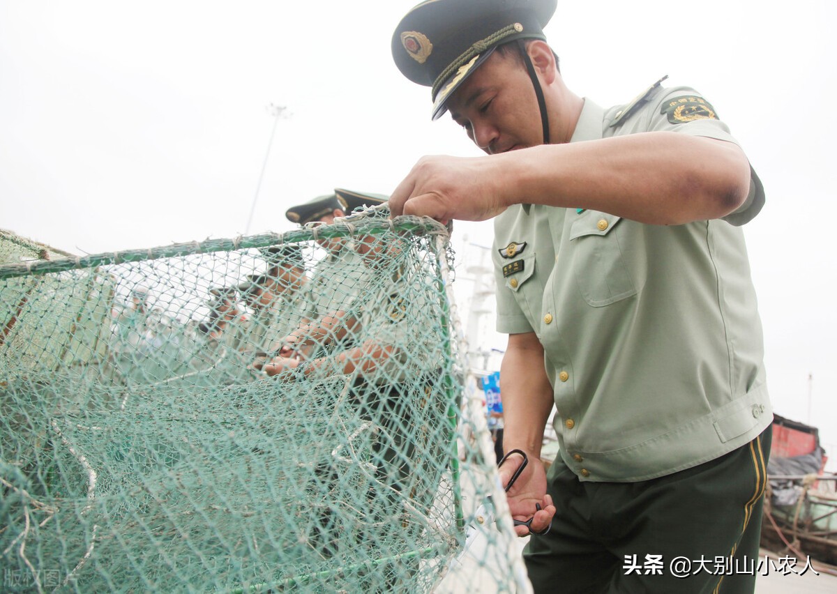 甲鱼枪在长江边耍横，巴掌大的小甲鱼钓了一桶，祖传手艺也要罚