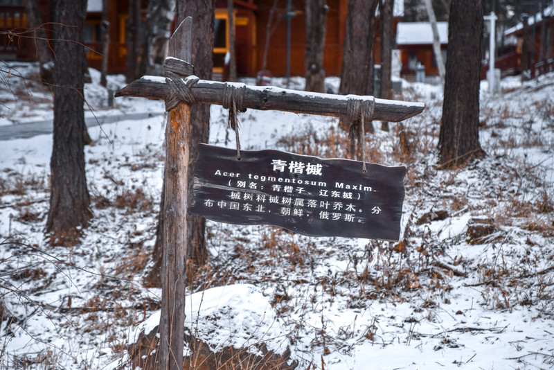 冰雪总动员，玩转长白山：一山一水，体验“世界级”冰火两重天