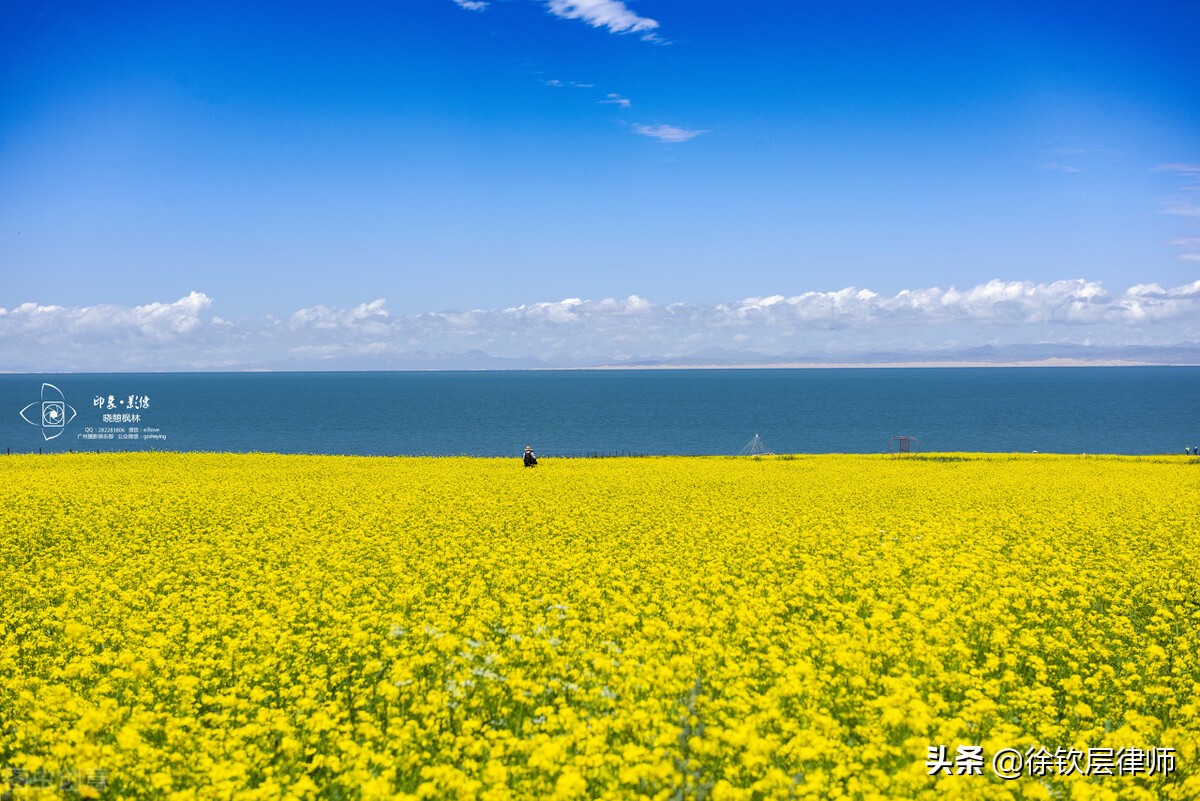 律师专业之路6：万金油只是权宜之计，优势理论才是王道