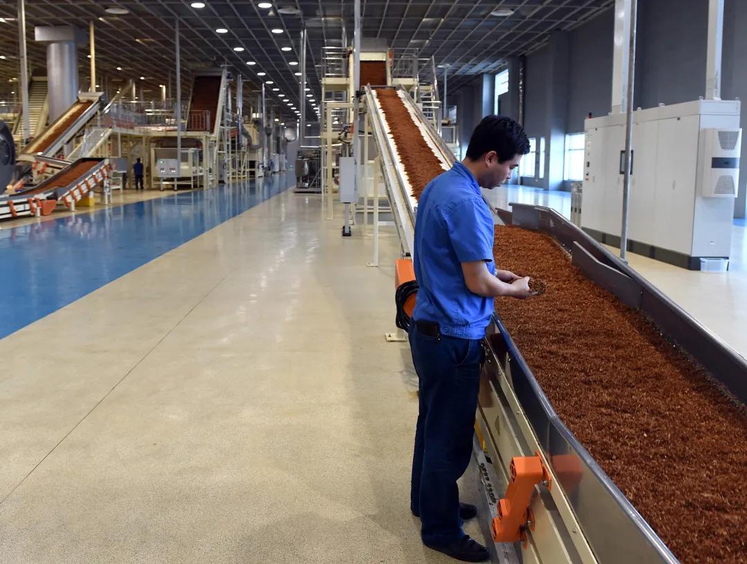 双一流高校研究生毕业上流水线卷烟！一线操作工中硕士超30%