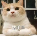 揭秘：什么時候買手機便宜？內行人教你這樣省錢，請低調收藏