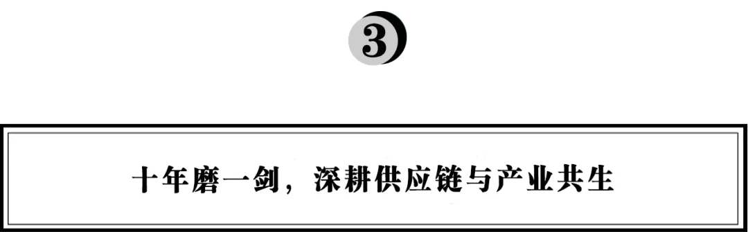 十年深耕供应链,珍妮花:伞具如何撑起“世界级品牌”的大格局?