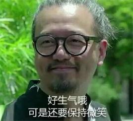 保持微笑表情包大全：好气哦，可是还要保持微笑