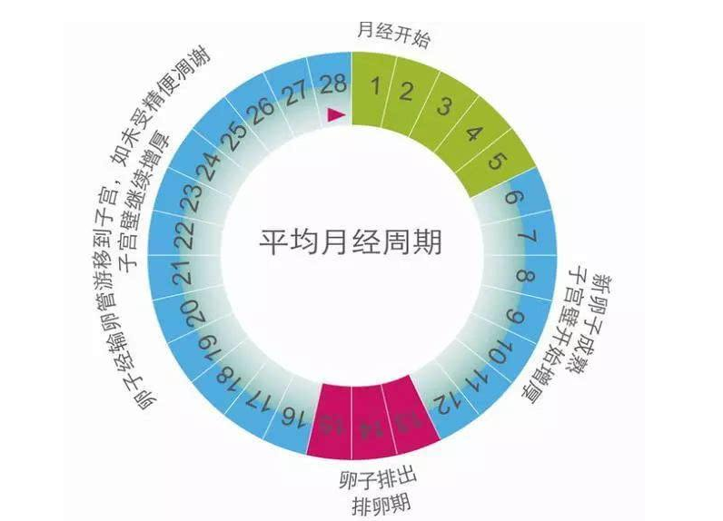 明明是“十月怀胎”，为啥只有280天？过来人告诉你孕周该咋算