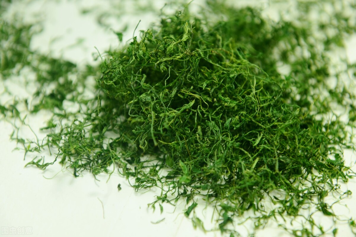 中药绞股蓝,常用于慢性胃炎,萎缩性胃炎,缓解癌症放化疗副作用