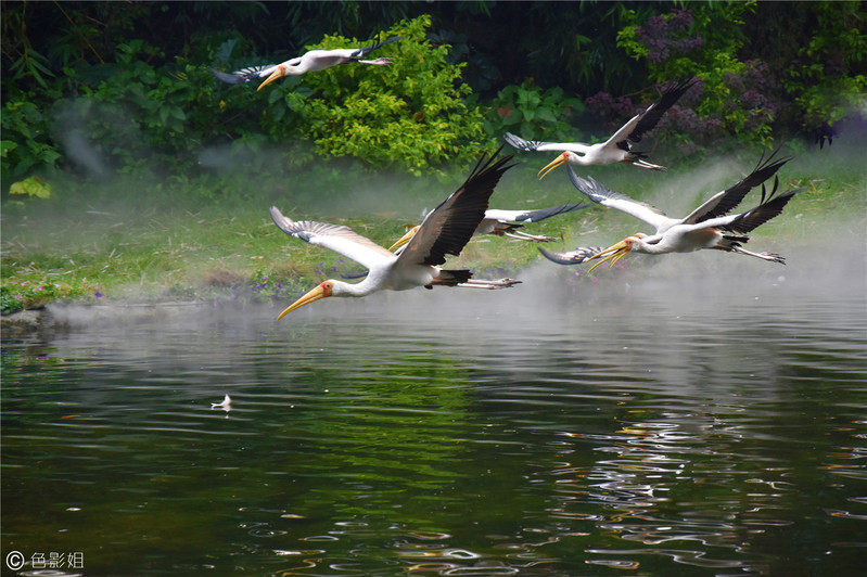 三天三夜欢乐长隆之旅（附攻略）