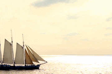 「高端原创诗词平台」云帆诗会2121第八期佳作选评