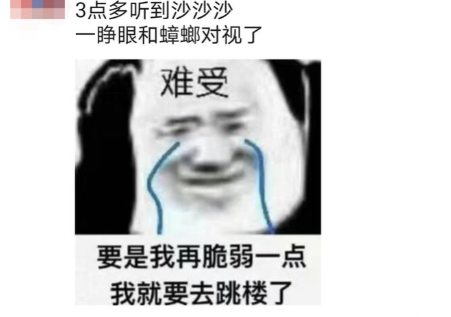 广州一大厦“两眼发光”似蟑螂，北方网友吓坏:南方蟑螂这么大?