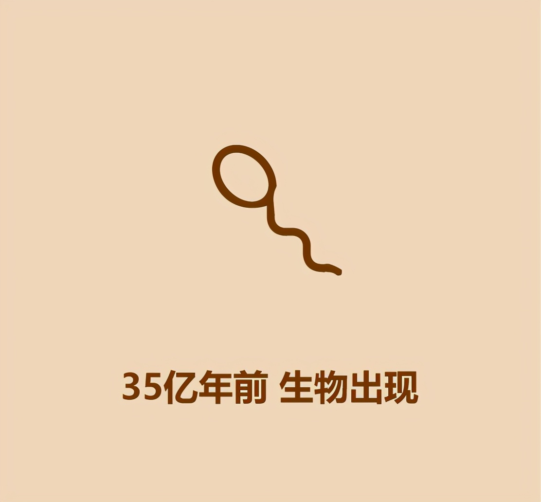 30秒恐龙简史