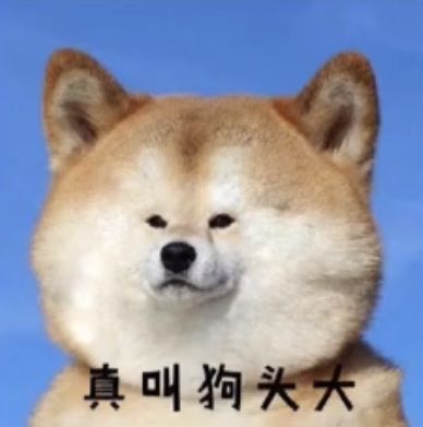 “单身的我们在七夕节怎么过！”各位内心独白是不是这些？