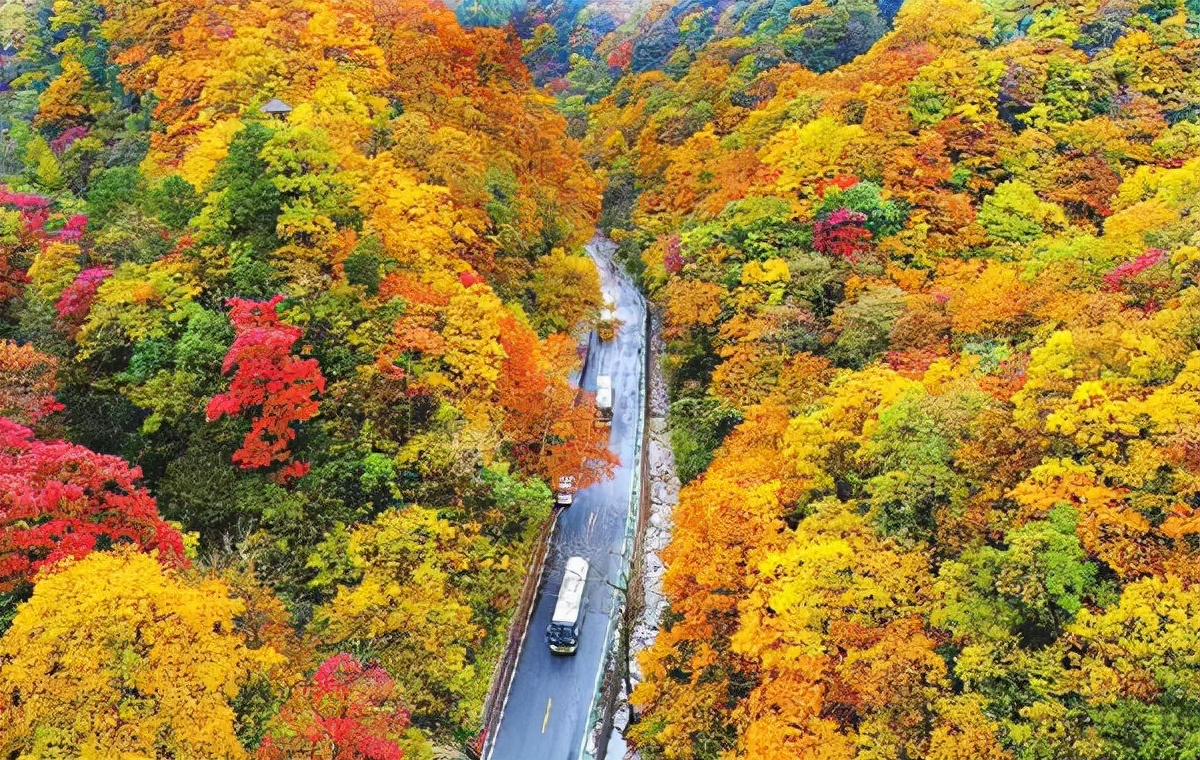 山西枫叶红了，都说这10个地方最好看，你怎么看？