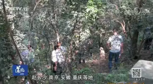 周克华杀了多少人(跨4省市作案9起，连杀11人！悍匪周克华案细节曝光！)