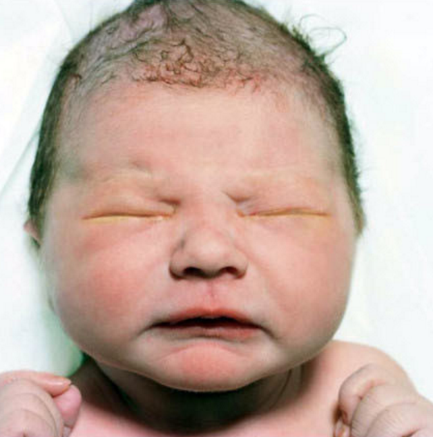 宝宝图片的图片大全中国(新生儿的真实照片，超级给力，看完觉得无比震撼！网友：裸机一部)