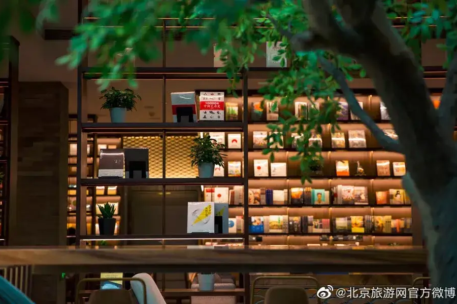京城清新风书店推荐，书香文艺治愈秋日疲倦