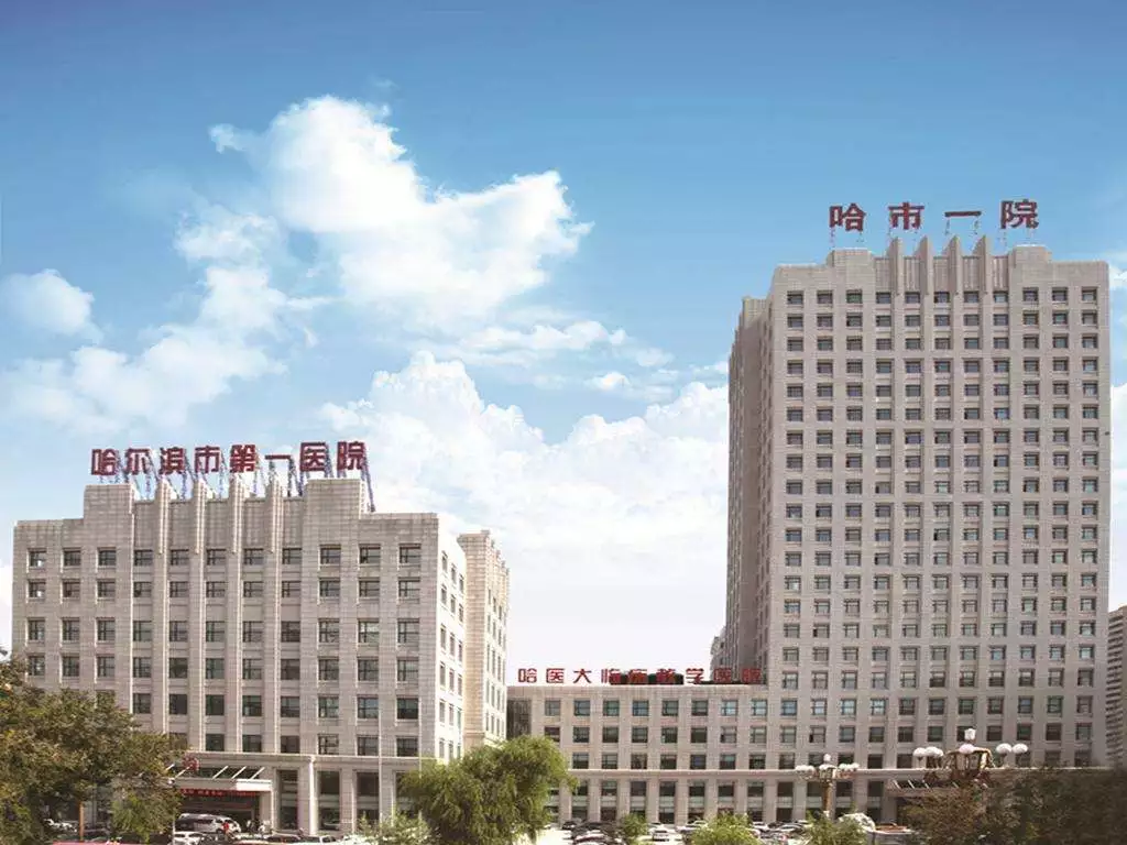 「内蒙古」 哈尔滨工业大学附属哈哈尔滨第一医院，招聘医生