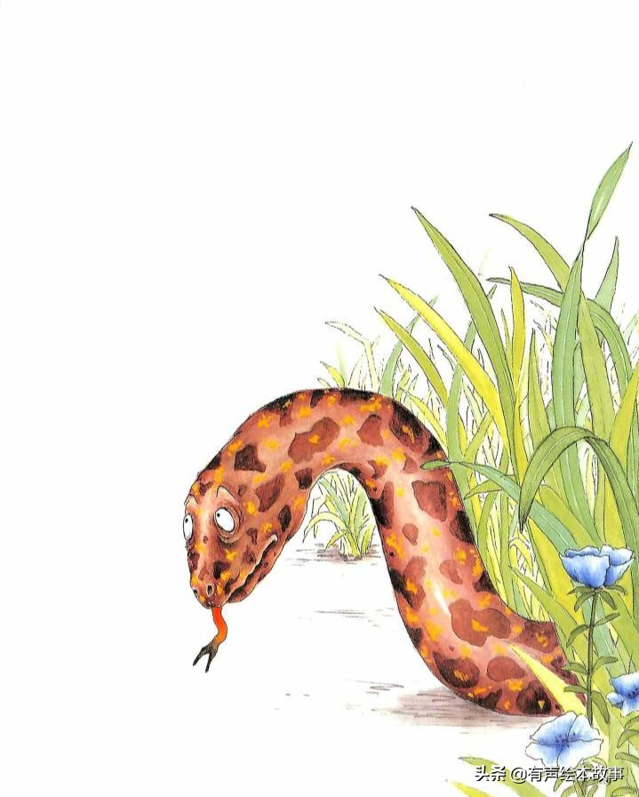 有声绘本故事《蛤蟆爷爷的秘诀》