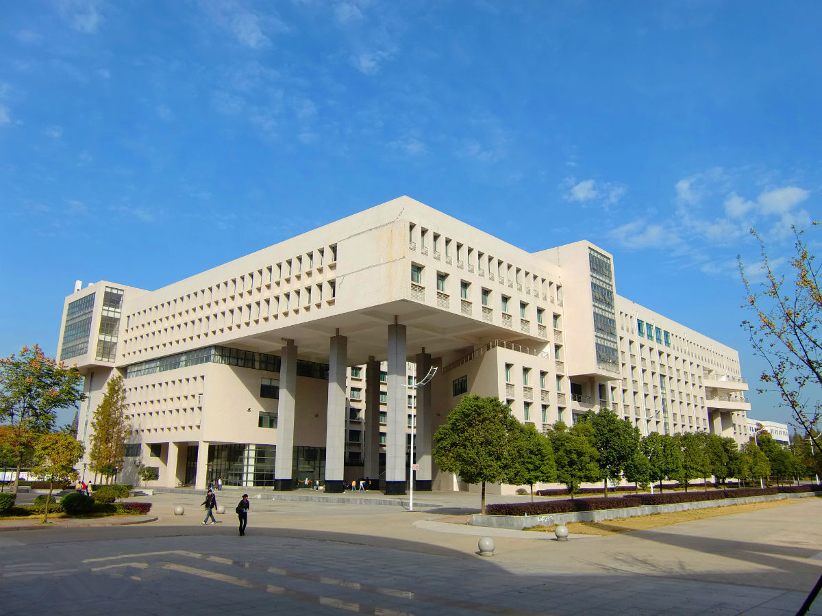 湖北工业大学研究生(湖北女大学生) - 郁金香