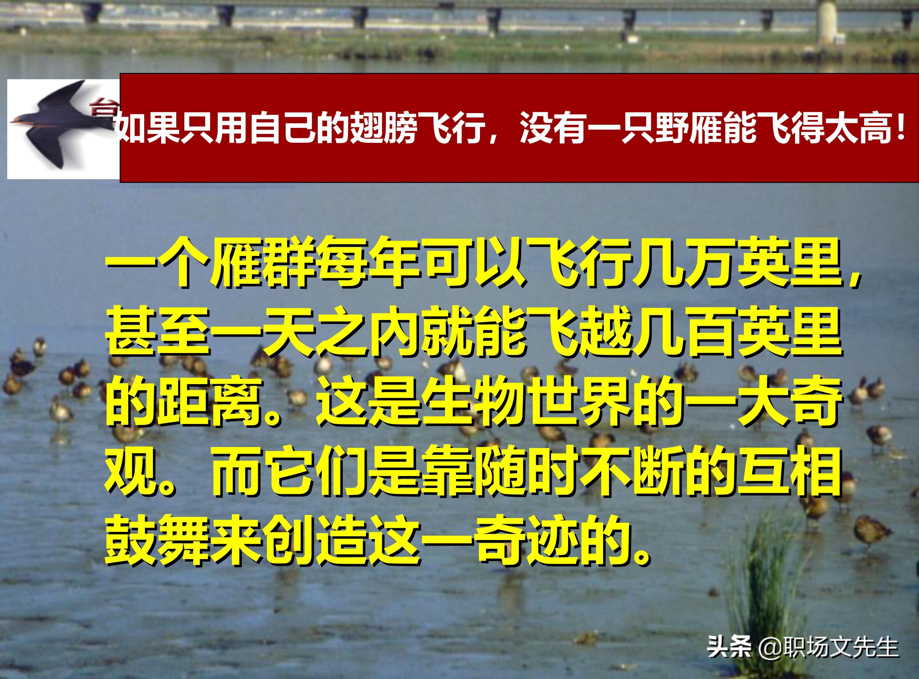 总裁班培训课件：80页实施领导式的管理，提升主管人员的执行力