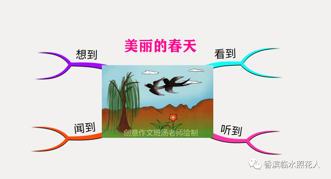 「创意作文优秀作品展示——思维导图画作文」美丽的春天（二）
