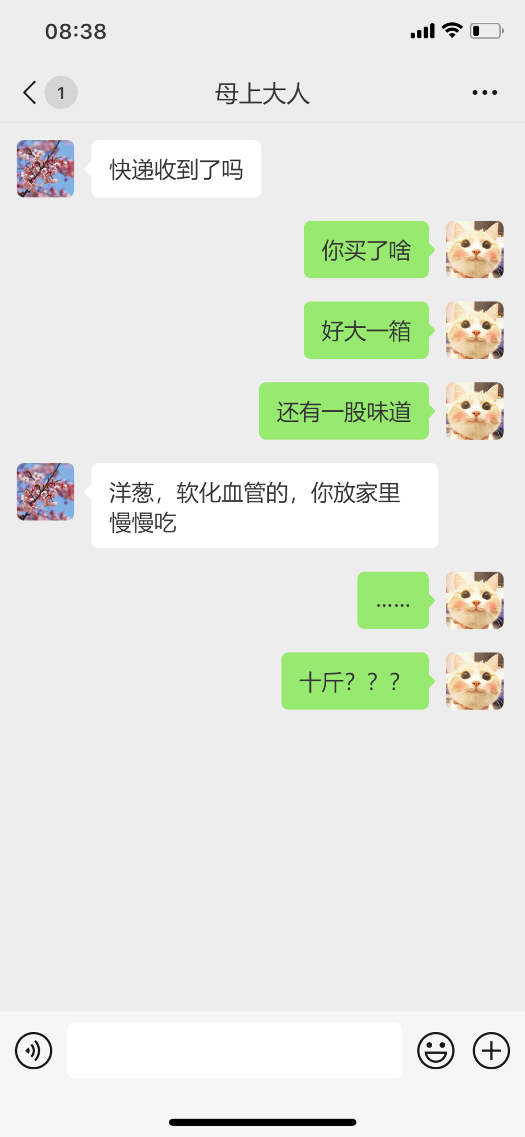 腿动脉血管堵塞的治疗方法与预防措施