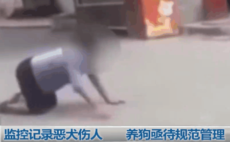 被狗咬后爬地形走，还学狗叫！狂犬病到底有多恐怖？