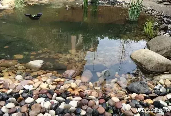 院子里应该有个小池塘，没有就自己动手挖个！（附实际操作图）