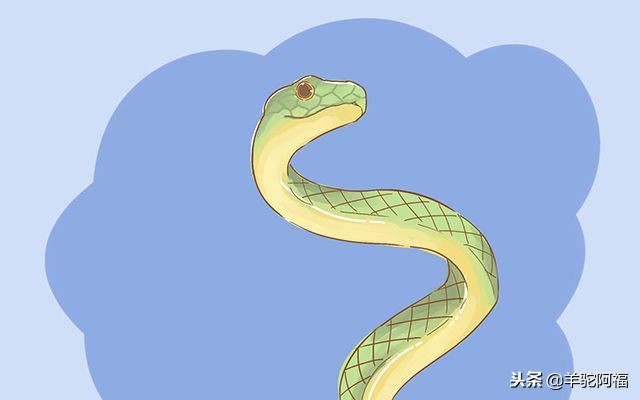 胎梦预示胎儿的性别真的有那么准吗？看看医生是怎么说的