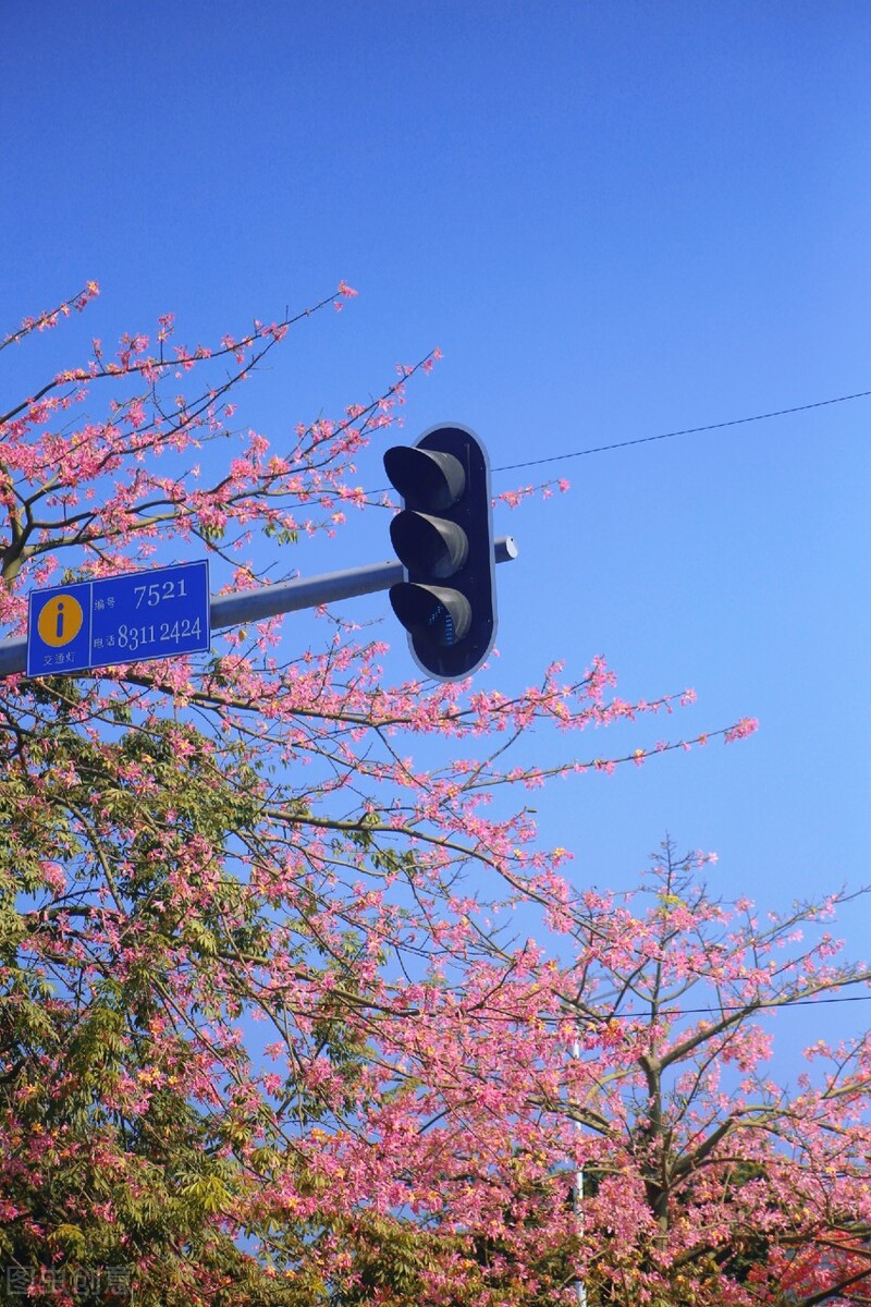 这个自嘲只有夏天的省份，私藏了中国最丰满秋色，11、12月靓爆镜