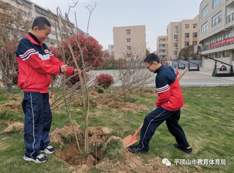 平顶山市三六联校:栉风沐雨砥砺行 春华秋实满园香