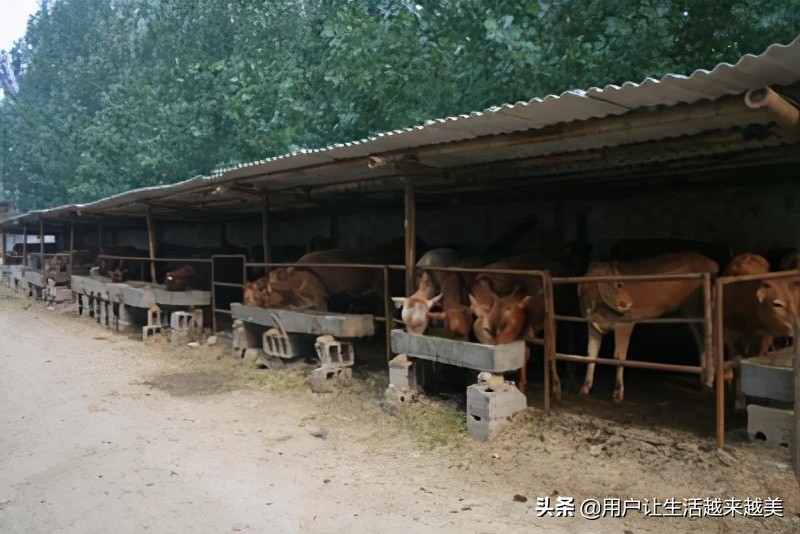 景德镇真是一个美丽的地方