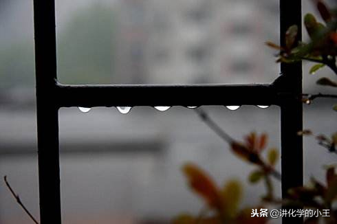 高中语文优秀作文—母亲，这时的你是否在人群中探着头遥望着我？