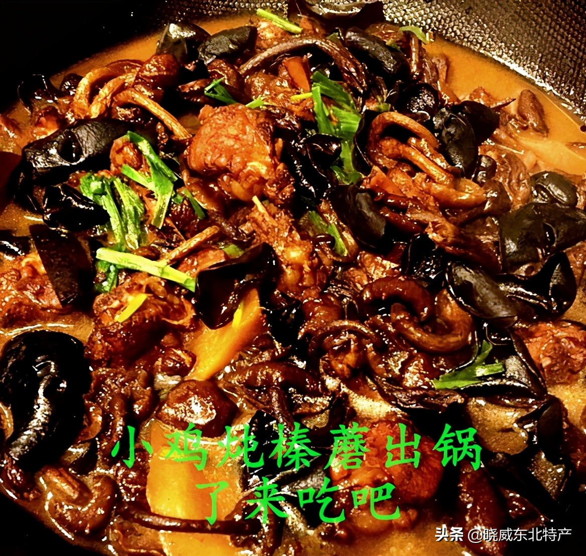 东北榛蘑的营养价值？榛蘑怎么吃？如何分辨优质的榛蘑？