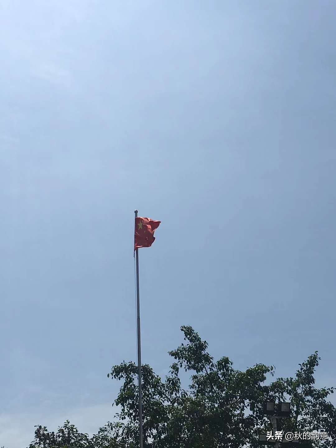 一个一年级大学生的自我总结，或许大学开始的生活普遍都是如此