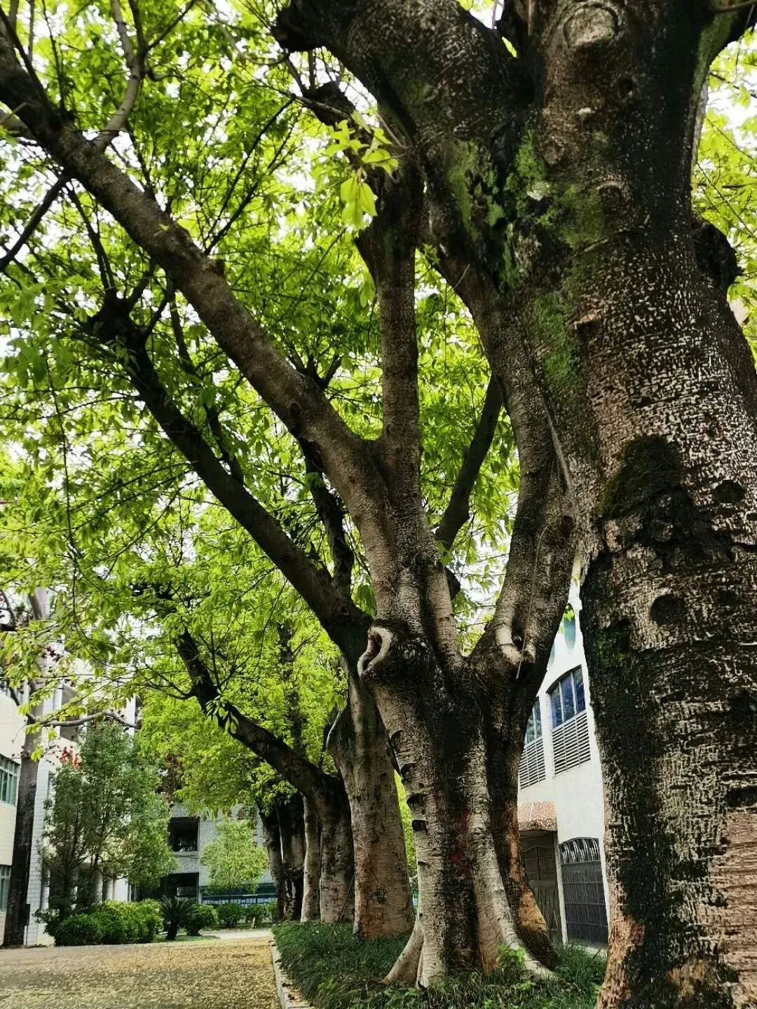 就读中职类学校，前途在哪里？