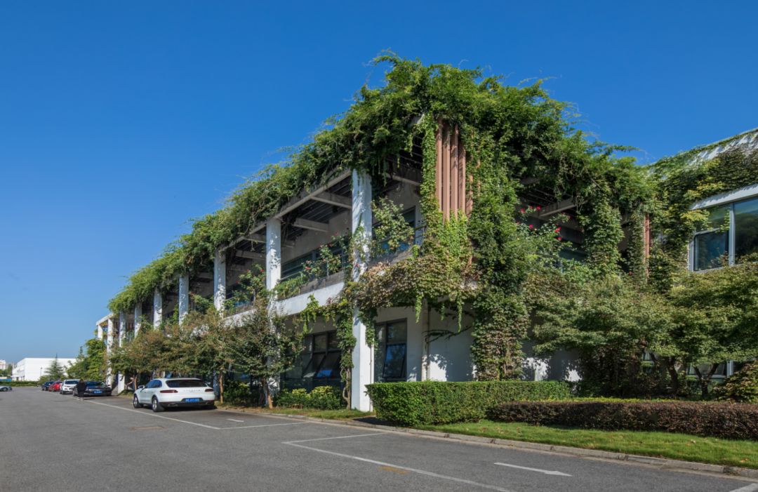 设计院给自己盖楼都长啥样？