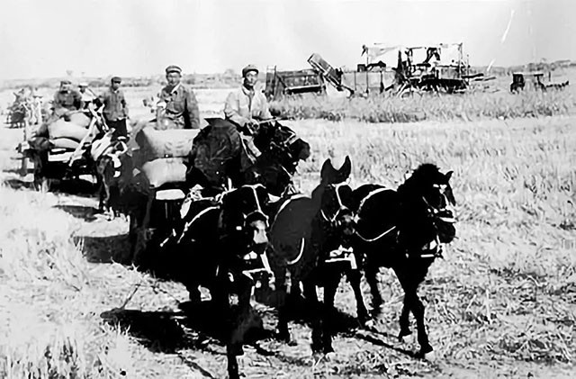 唯一没撤销的生产兵团：有14个师、2000个连队，地区GDP超2700亿